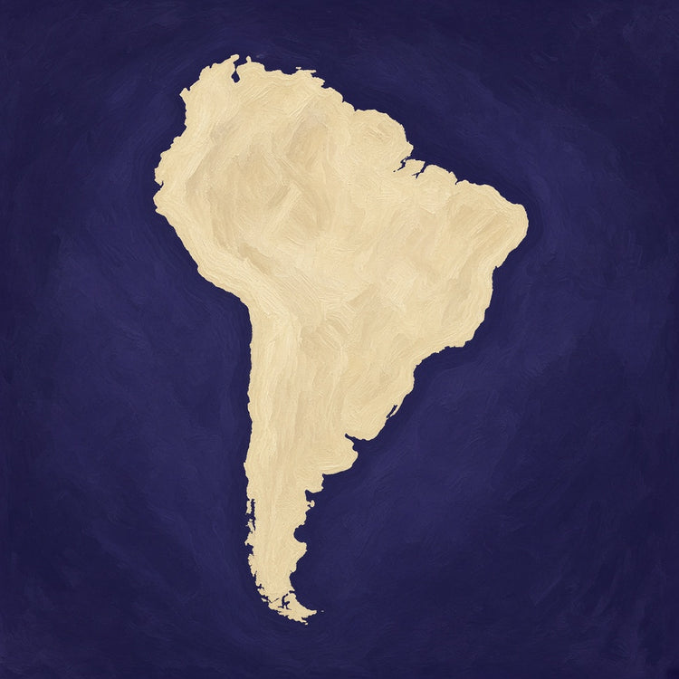 Illustrated South America landmark pillow collection — continent travel keepsakes